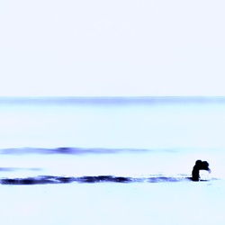 dailyPhoto19